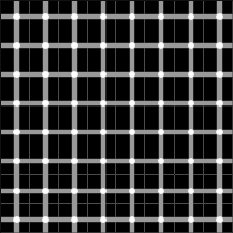 ¿Cuántos puntos negros hay? | Ilusión óptica